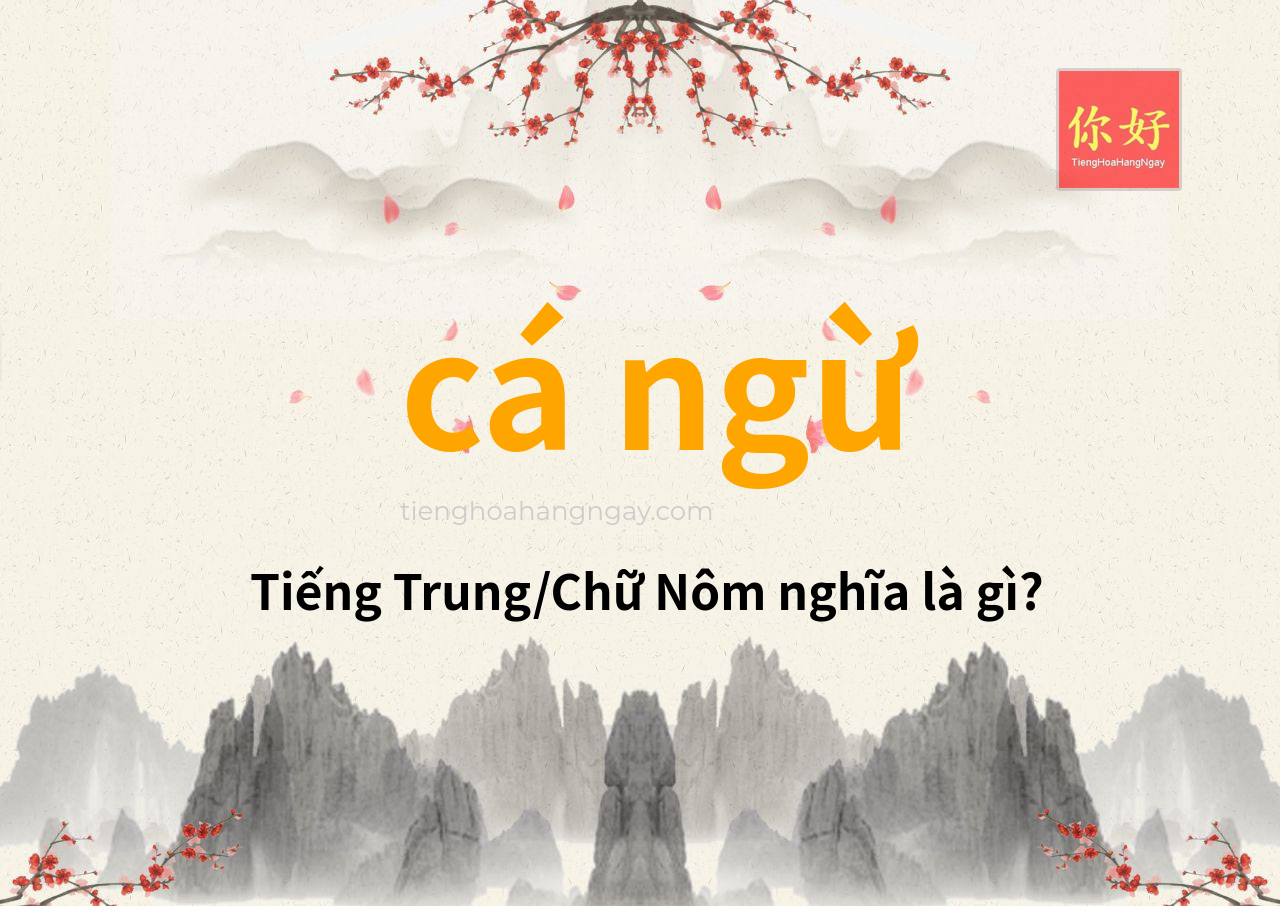 cá ngừ tiếng Trung là gì?
